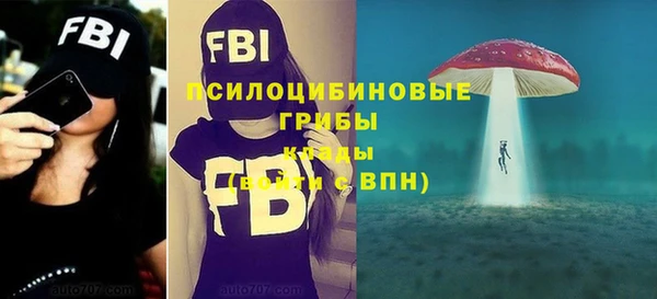 apvp Михайловка