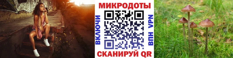 Галлюциногенные грибы ЛСД  mega ТОР  Мегион  где купить наркоту 