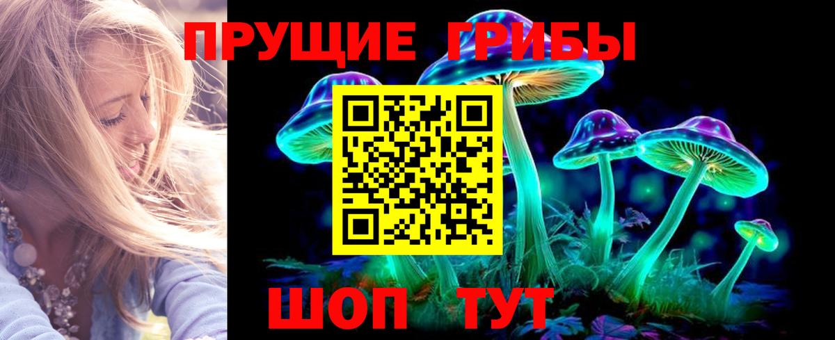 Псилоцибиновые грибы ЛСД Мегион