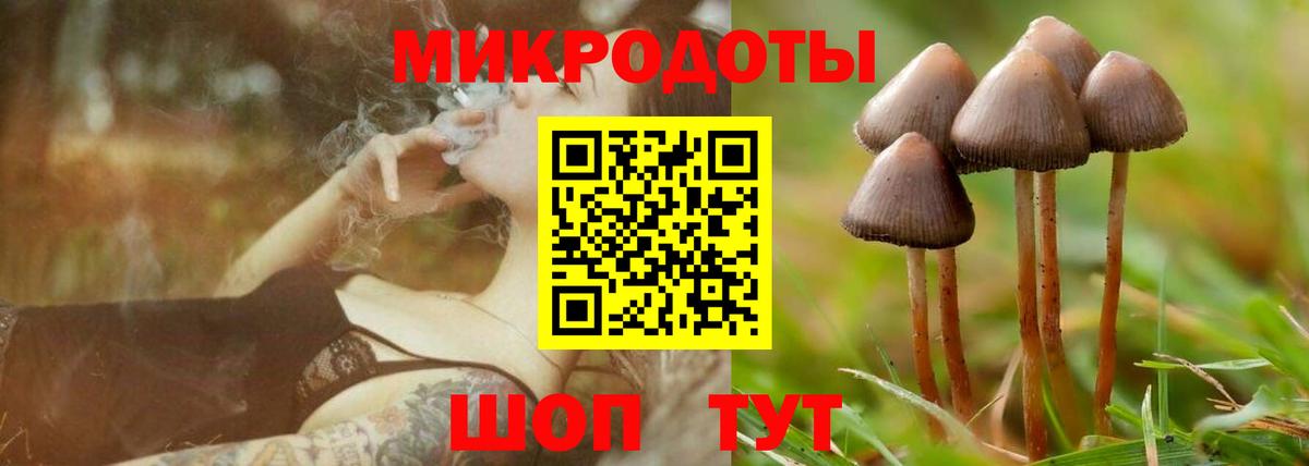 Псилоцибиновые грибы Cubensis  Вход с VPN  Мегион  наркота  Псилоцибиновые грибы MAGIC MUSHROOMS 